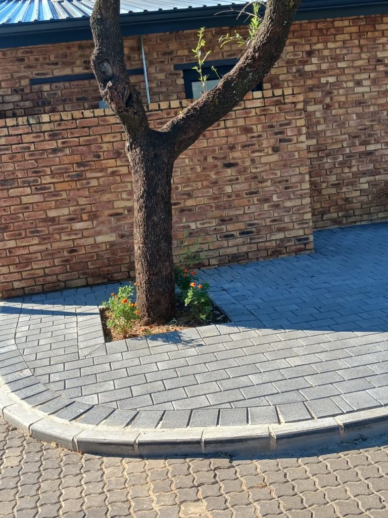 Commercial Road Paving Gauteng